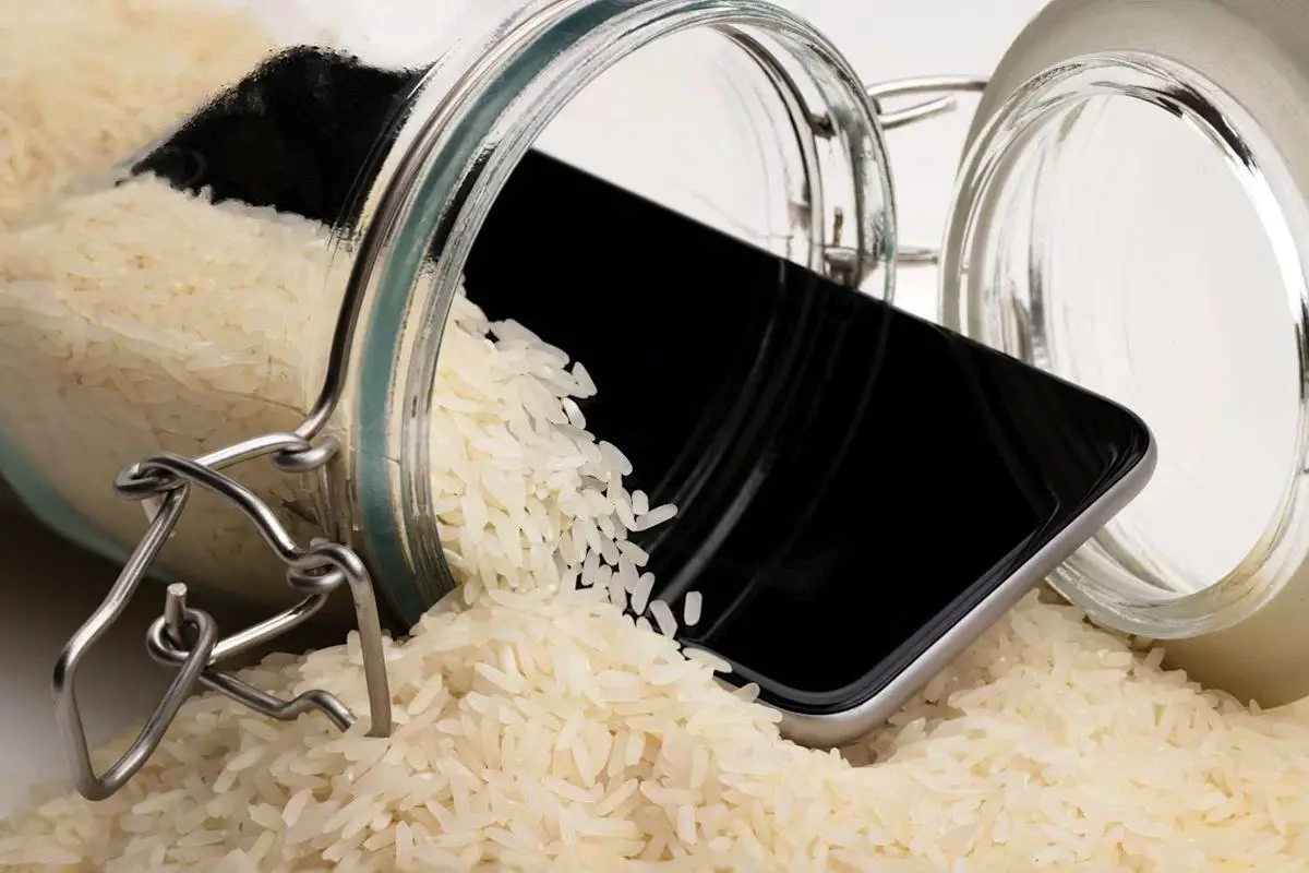 Sem arroz nem secador: como tirar água do altifalante